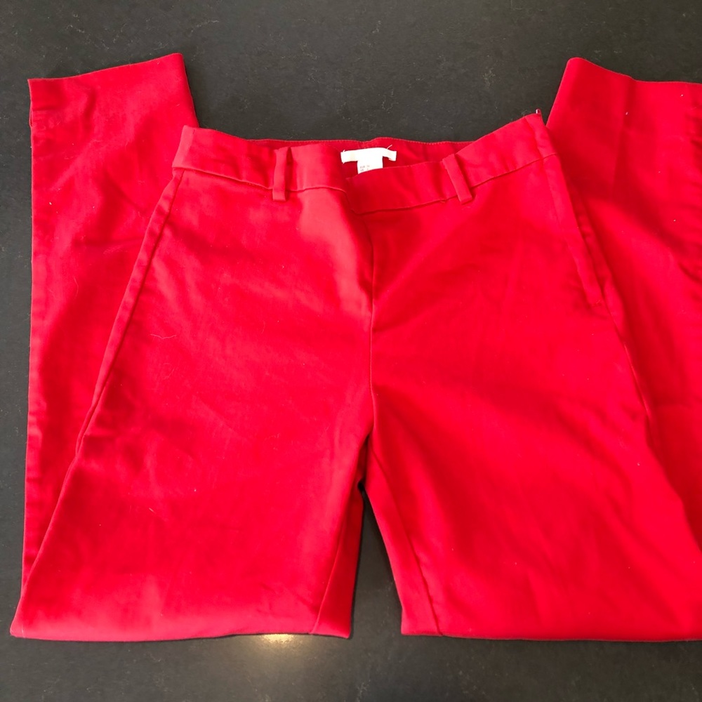 H&M Side Zip Cropped Pants